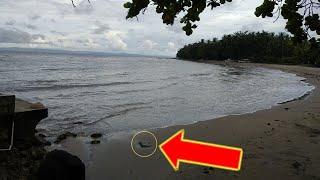 Metal Detecting Beach Resorts | Metal Detector