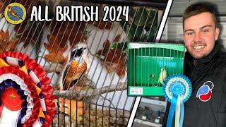 The UK’s LARGEST British Bird Show! | All British 2024