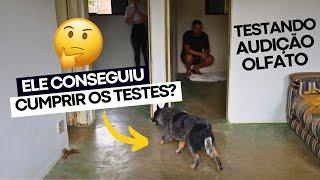 VLOG: TESTANDO OS SENTIDOS DO THOR | CACHORRO CEGO