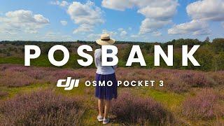 DJI Osmo Pocket 3 - Posbank, The Netherlands