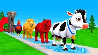 Paint & Animals Cow,Mammoth,Gorilla,Tiger,Duck,Lion Fountain Crossing Transformation Animals Cartoon