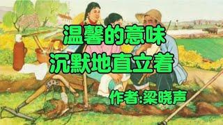 经典散文欣赏《温馨的意味》作者：梁晓声！