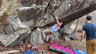 Purple People Eaters V6 | John Nguyen