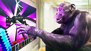 I Taught an Ape to BEAT Minecraft