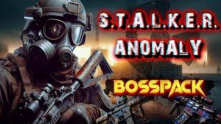 Уйма артефактов с Агропрома! Серия 11. Stalker BossPack