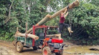 Using trucks to transport giant trees