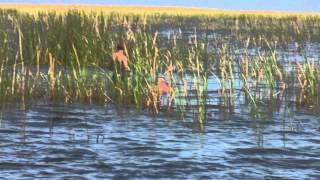 Lake Okeechobee 007