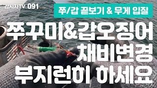 쭈꾸미 갑오징어 패턴잡기! - 091 / 서천 홍원항 쭈꾸미낚시 & 갑오징어낚시 / イイダコ / 甲イカ / 韓国 / 西海