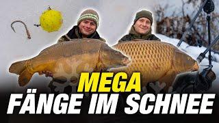 Mega Fänge im SCHNEE ️ Warum unsere Winter-Methode ALLES verändert!  | Boilie | P.R. Baits