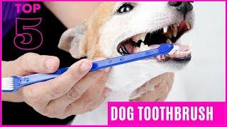 Best Dog Toothbrush to Keep Your Pet's Teeth Clean