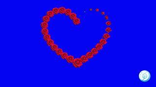 Rosy Heart Shape Blue Screen Free Ultra 4K HD Background