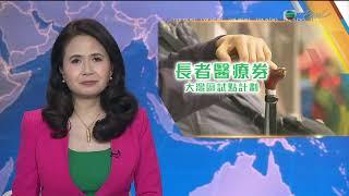 【Live】TVB News | 14 Aug 2024 | TVB English News | 7:30 News | 無綫新聞