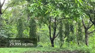 Farm Lot for Sale in Tanay, Rizal Very Near Daranak Falls