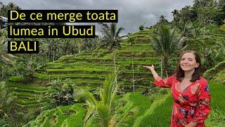 Ubud, locul pe care nu il poti rata in Bali