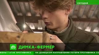 Димка - фермер. @Dimka_fermer