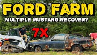 FINDING a FORD FARM FULL of ABANDONED Fastback Mustangs! | Will They Run???