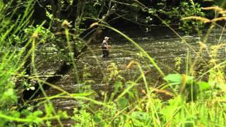 Pêche en Auvergne : pur style, no kill