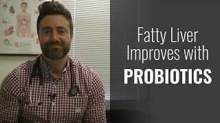 Fatty Liver Improves with Probiotics – High-Level Scientific Evidence