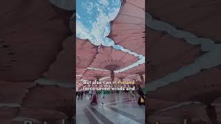 #madina #soudiarabia fixed largest umbrella in Holy Masjid of #islam