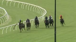 WONDERLAND STAR TRIALS AT EAGLE FARM