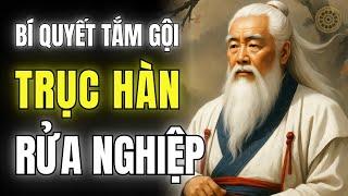 Bí Quyết Tắm Gội Bằng Ngải Cứu - Gừng - Sả Để Sống Khỏe, Trường Thọ