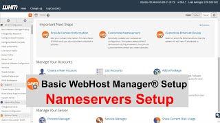 Managed VPS  ||  Basic WebHost Manager - Nameservers Setup  ||  WHM ROOT