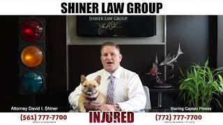 Accident Can Be Ruff! Shiner Law Group Personal Injury Lawyer