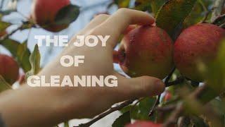 The Joy of Gleaning