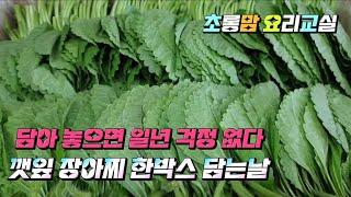 깻잎 장아찌 한박스 담는날 #담아놓으면일년걱정없다