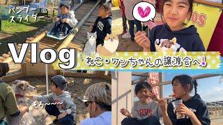 Vlogネコちゃんワンちゃんの譲渡会へ遊びに行ってきた