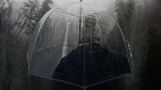 Rain on an Umbrella: Rainsounds on an Umbrella for Sleep and Relaxation (8 Hours) Rain ASMR