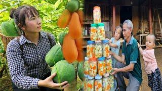 Harvesting papaya - Making Delicious Papaya dishes with Grandfather to sell - Growing - Farm Life