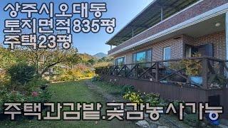 241119 상주시 오대동 주택과 감밭 매매. 토지면적 835평. 적벽돌 주택면적 23평 방3 거실,주방,욕실1 창고. 사용승인일 1997년. 매매가 3억5천만원(아래더보기 참조)