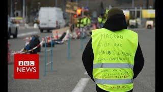 Yellow Vests: Is the symbol spreading across Europe? - BBC News