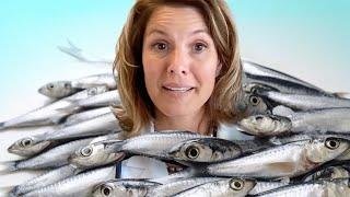 ONLY Sardines for 70 Days. What happened?