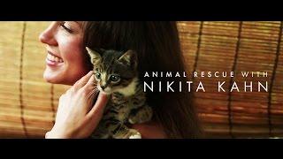 Animal Rescue with Nikita Kahn