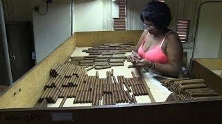 A look inside a Cuban cigar factory