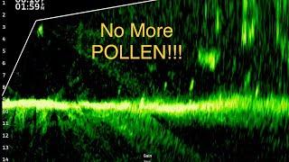 Garmin Livescope: NO MORE POLLEN!!!!