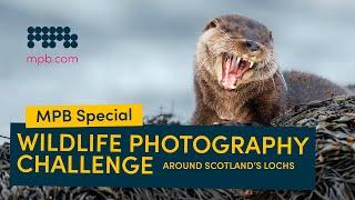 On Assignment: Wildlife Photography Around Scotland's Lochs | MPB