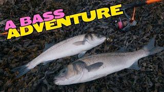 Bass Fishing ¦ New PB ¦ Lure & Bait Fishing UK