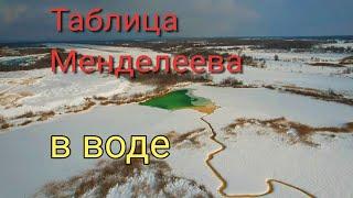 ЦВЕТ КРАСИВЫЙ, НО ВОДА ВРЯД ЛИ ПОЛЕЗНАЯ/ПРУД БЕЛЫЙ/ул. БЕРЕГОВАЯ/САМАРА/РОССИЯ