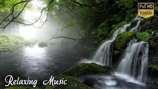 Relaxing Music for Stress Relief  Relaxing, Meditation, Study, Sleeping || Simply Tori