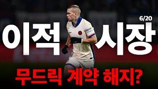 6/20 이적시장 주요 이슈 "완벽" 정리 / 무드릭과 계약 해지가 가능하다? / 토트넘에게 추천하고 싶은 RW 매물