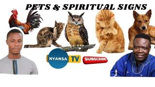 PETS & Spiritual Signs, Around Us: Dr. Paa Kwasi