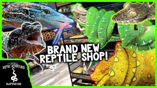 TOURING A BRAND NEW REPTILE SHOP IN SOUTH FLORIDA! (Cold Blooded Kingdom)