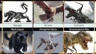 Transformers Beasts In Real Life.