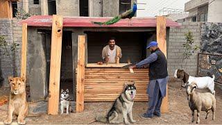 Animals K Lye Kitchen Bnwa Rhy Hain Bht Piari Si