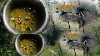 Hunting in jungle and eating fresh food