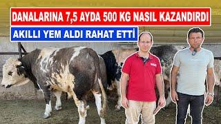 Danalarına 7,5 Ayda 500 Kg Nasıl Kazandırdı | Akıllı Yem Aldı Rahat Etti