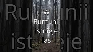 5 NIEWYJAŚNIONYCH zjawisk PARANORMALNYCH które zadziwią KAŻDEGO ! #ciekawostki #ciekawostka